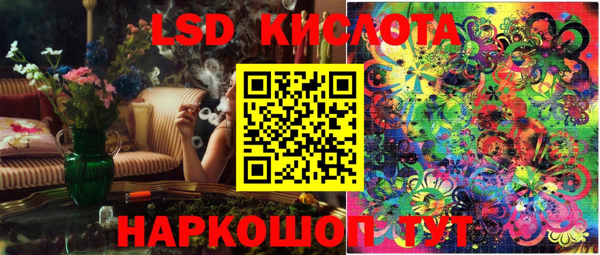 Псилоцибиновые грибы Мелеуз