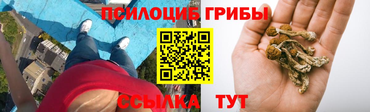 где найти наркотики  Галлюциногенные грибы Cubensis  Галлюциногенные грибы Psilocybe  Вход с VPN  Мелеуз 